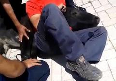 un toro suelto embiste contra un coche y un peatón en málaga